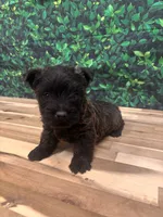 processed/b022dc9f-76a8-46ad-98e3-bd6c20bf0dfa/listing/22e7d327-ef29-481d-b47b-46a50a3ec328/28ae2798-aa56-4900-86da-c0581f26ee96