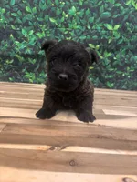 processed/b022dc9f-76a8-46ad-98e3-bd6c20bf0dfa/listing/22e7d327-ef29-481d-b47b-46a50a3ec328/3411502f-c525-47f8-b859-43a0660681ef