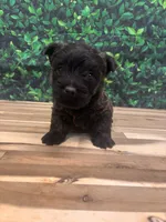 processed/b022dc9f-76a8-46ad-98e3-bd6c20bf0dfa/listing/22e7d327-ef29-481d-b47b-46a50a3ec328/6ba2b4d5-d501-410c-b665-a903839fe597