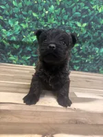 processed/b022dc9f-76a8-46ad-98e3-bd6c20bf0dfa/listing/22e7d327-ef29-481d-b47b-46a50a3ec328/7c9e50c2-f712-4cac-9aea-18b309ab357c