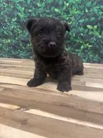 processed/b022dc9f-76a8-46ad-98e3-bd6c20bf0dfa/listing/22e7d327-ef29-481d-b47b-46a50a3ec328/d95a343a-187a-461c-9074-09d797c267c3