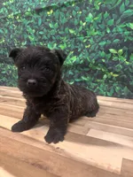 processed/b022dc9f-76a8-46ad-98e3-bd6c20bf0dfa/listing/22e7d327-ef29-481d-b47b-46a50a3ec328/f8bf4b15-34b7-44d6-b459-5a2fdfff35ba