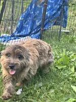 processed/b022dc9f-76a8-46ad-98e3-bd6c20bf0dfa/listing/395002c3-8d82-4eb4-8664-a3b2991f2a43/02347e51-06d6-4db8-8a7a-6519983ab449