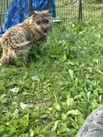 processed/b022dc9f-76a8-46ad-98e3-bd6c20bf0dfa/listing/395002c3-8d82-4eb4-8664-a3b2991f2a43/27075f8e-f9e6-41c5-b921-e1e0f596222c