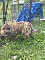 processed/b022dc9f-76a8-46ad-98e3-bd6c20bf0dfa/listing/395002c3-8d82-4eb4-8664-a3b2991f2a43/2dc29d10-dfed-4b79-bac0-94037c2c8944