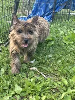 processed/b022dc9f-76a8-46ad-98e3-bd6c20bf0dfa/listing/395002c3-8d82-4eb4-8664-a3b2991f2a43/59191ebd-1e2a-4fca-999c-7a913c3ca9a7