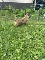 processed/b022dc9f-76a8-46ad-98e3-bd6c20bf0dfa/listing/395002c3-8d82-4eb4-8664-a3b2991f2a43/91a7ecb7-c8c0-467d-b231-f936c3e712b8