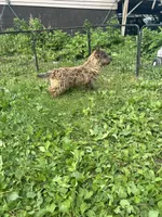 processed/b022dc9f-76a8-46ad-98e3-bd6c20bf0dfa/listing/395002c3-8d82-4eb4-8664-a3b2991f2a43/91e34932-57dc-4242-8f0d-ba9b737bb691