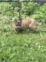 processed/b022dc9f-76a8-46ad-98e3-bd6c20bf0dfa/listing/395002c3-8d82-4eb4-8664-a3b2991f2a43/a068d48c-9cc7-4291-96eb-caa841a09a15