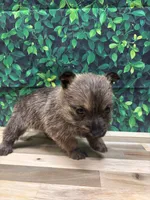 processed/b022dc9f-76a8-46ad-98e3-bd6c20bf0dfa/listing/682cad77-abe7-4cf7-8ebc-b5103857b9e5/3b00e180-be20-49cd-a6e8-93c370d10748