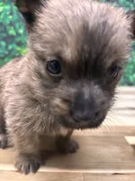 processed/b022dc9f-76a8-46ad-98e3-bd6c20bf0dfa/listing/682cad77-abe7-4cf7-8ebc-b5103857b9e5/cd62548d-9337-40a7-b47b-68c57152f345