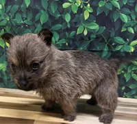 processed/b022dc9f-76a8-46ad-98e3-bd6c20bf0dfa/listing/682cad77-abe7-4cf7-8ebc-b5103857b9e5/d8950871-0ed4-4554-aa3b-976666ec5c16