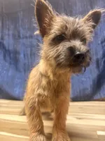 processed/b022dc9f-76a8-46ad-98e3-bd6c20bf0dfa/listing/831c3ae0-0712-4384-8d79-ea28b6164fcc/98556db6-aa4a-4f47-adb5-278be3f81830