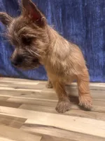 processed/b022dc9f-76a8-46ad-98e3-bd6c20bf0dfa/listing/831c3ae0-0712-4384-8d79-ea28b6164fcc/a59b4272-8cfe-4316-8b7c-0c8d3c1cc3f7