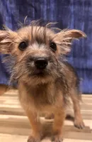 processed/b022dc9f-76a8-46ad-98e3-bd6c20bf0dfa/listing/906ebe6e-cc1b-4d9a-b783-fa4f78f5c8e8/010ecf9e-3300-4fca-818f-ef49da4fb26e