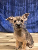 processed/b022dc9f-76a8-46ad-98e3-bd6c20bf0dfa/listing/906ebe6e-cc1b-4d9a-b783-fa4f78f5c8e8/40665339-2cc1-4bd7-bc62-2034f12d9bcd