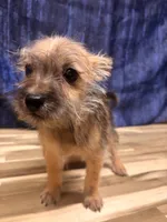 processed/b022dc9f-76a8-46ad-98e3-bd6c20bf0dfa/listing/906ebe6e-cc1b-4d9a-b783-fa4f78f5c8e8/6279a638-5557-493e-babf-2694d0e88f31