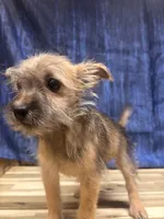 processed/b022dc9f-76a8-46ad-98e3-bd6c20bf0dfa/listing/906ebe6e-cc1b-4d9a-b783-fa4f78f5c8e8/9e058f59-a3e8-453a-93a8-8b3ca86bab06