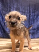 processed/b022dc9f-76a8-46ad-98e3-bd6c20bf0dfa/listing/906ebe6e-cc1b-4d9a-b783-fa4f78f5c8e8/dbab4bbd-a874-4891-8b08-088f80762ab5