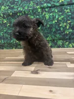 processed/b022dc9f-76a8-46ad-98e3-bd6c20bf0dfa/listing/94ada764-24c1-4354-af7e-8665859aa24f/2f5054b1-9c68-4d3b-adff-d4571c443ffa