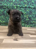 processed/b022dc9f-76a8-46ad-98e3-bd6c20bf0dfa/listing/94ada764-24c1-4354-af7e-8665859aa24f/417b9be6-5ac2-47ef-9640-9c05b1760efc