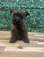 processed/b022dc9f-76a8-46ad-98e3-bd6c20bf0dfa/listing/94ada764-24c1-4354-af7e-8665859aa24f/5d5e0068-d035-403e-8866-b685f5a81e7b