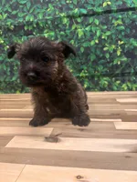 processed/b022dc9f-76a8-46ad-98e3-bd6c20bf0dfa/listing/94ada764-24c1-4354-af7e-8665859aa24f/e074493b-c408-4c53-af16-f919f56d2322