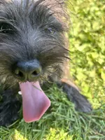 processed/b022dc9f-76a8-46ad-98e3-bd6c20bf0dfa/listing/b466854b-e0a2-4054-8bec-81410cebce57/4d3366a2-a77c-4142-ae5a-fa17692f2193