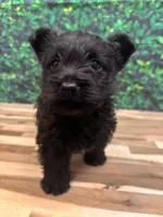 processed/b022dc9f-76a8-46ad-98e3-bd6c20bf0dfa/listing/be0d5590-6aa7-4b27-869a-5ba9dad234ff/0952f610-afec-4b88-ba0a-e9f2a13e9802