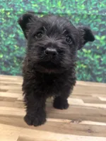 processed/b022dc9f-76a8-46ad-98e3-bd6c20bf0dfa/listing/be0d5590-6aa7-4b27-869a-5ba9dad234ff/39eb0ebb-db55-483f-8766-76c3d73a7913