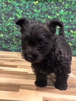 processed/b022dc9f-76a8-46ad-98e3-bd6c20bf0dfa/listing/be0d5590-6aa7-4b27-869a-5ba9dad234ff/daf8fbfe-2fb2-4942-9d69-369e823e8273