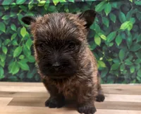 processed/b022dc9f-76a8-46ad-98e3-bd6c20bf0dfa/listing/d4bec1e6-8dce-4fd5-b7c9-b32f59e3644e/347cd8d7-50ab-41a6-88a4-5f9a8c41aff4