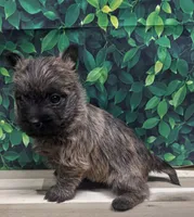 processed/b022dc9f-76a8-46ad-98e3-bd6c20bf0dfa/listing/d4bec1e6-8dce-4fd5-b7c9-b32f59e3644e/9c027ab6-21af-4563-9f0a-8c07ec03b647