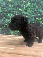 processed/b022dc9f-76a8-46ad-98e3-bd6c20bf0dfa/listing/df798354-789c-438e-805b-dc68e1a1c610/24798a42-256c-4c48-a2ab-f749a1369921