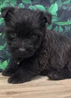 processed/b022dc9f-76a8-46ad-98e3-bd6c20bf0dfa/listing/df798354-789c-438e-805b-dc68e1a1c610/69975e61-0cc4-4a5d-86c3-49acfb134cb7