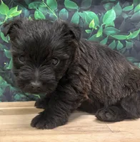 processed/b022dc9f-76a8-46ad-98e3-bd6c20bf0dfa/listing/df798354-789c-438e-805b-dc68e1a1c610/75d2b8e5-95a4-410a-9877-46ac709f0e82