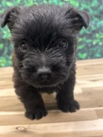 processed/b022dc9f-76a8-46ad-98e3-bd6c20bf0dfa/listing/df798354-789c-438e-805b-dc68e1a1c610/af0a283b-1ee8-4841-af9e-440c558f269c