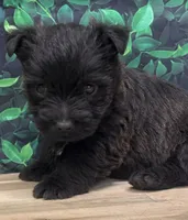 processed/b022dc9f-76a8-46ad-98e3-bd6c20bf0dfa/listing/df798354-789c-438e-805b-dc68e1a1c610/c3e0ef26-e546-4f88-b38f-55a78d742e0a