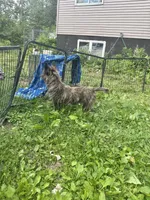 processed/b022dc9f-76a8-46ad-98e3-bd6c20bf0dfa/listing/e02038b3-11cb-46ea-9246-d893d9d4fd3a/111035c7-2477-4dd0-a490-d2fb4108e2b4