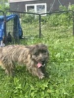 processed/b022dc9f-76a8-46ad-98e3-bd6c20bf0dfa/listing/e02038b3-11cb-46ea-9246-d893d9d4fd3a/7f13258f-f833-4b75-becd-ff6bb2b68fd6