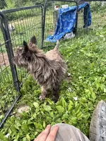 processed/b022dc9f-76a8-46ad-98e3-bd6c20bf0dfa/listing/e02038b3-11cb-46ea-9246-d893d9d4fd3a/9ef9fa4b-810a-46f4-9348-969179a35be5