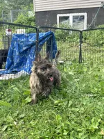 processed/b022dc9f-76a8-46ad-98e3-bd6c20bf0dfa/listing/e02038b3-11cb-46ea-9246-d893d9d4fd3a/c7481064-f74b-400c-9b74-966845e87a5b