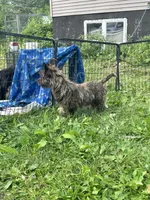 processed/b022dc9f-76a8-46ad-98e3-bd6c20bf0dfa/listing/e02038b3-11cb-46ea-9246-d893d9d4fd3a/cb59248a-8b15-4d6a-a8e9-d7b6c76ac002