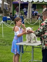 processed/b0233b1b-8e56-4c3e-831d-a63c9ac26648/facility/36fc253f-e2f9-4643-9e4f-5dbe10107bd7