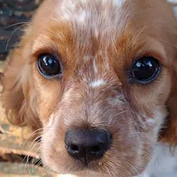 processed/b0233b1b-8e56-4c3e-831d-a63c9ac26648/facility/4d2d7994-91d8-4b54-8a7e-0506a22e5909