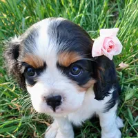 processed/b0233b1b-8e56-4c3e-831d-a63c9ac26648/facility/67c3dca4-93b1-44c4-8bcf-4f114b7c2214