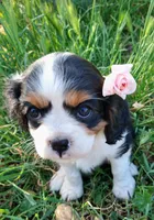 processed/b0233b1b-8e56-4c3e-831d-a63c9ac26648/facility/67c3dca4-93b1-44c4-8bcf-4f114b7c2214