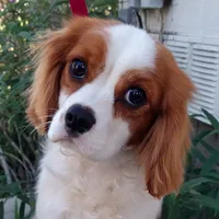 processed/b0233b1b-8e56-4c3e-831d-a63c9ac26648/facility/8e77a4e7-6cbc-489e-a334-abac7209f237