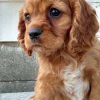 processed/b0233b1b-8e56-4c3e-831d-a63c9ac26648/facility/c2d1a6de-e26d-4525-ba2d-0d4b617f85b3