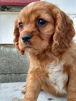 processed/b0233b1b-8e56-4c3e-831d-a63c9ac26648/facility/c2d1a6de-e26d-4525-ba2d-0d4b617f85b3